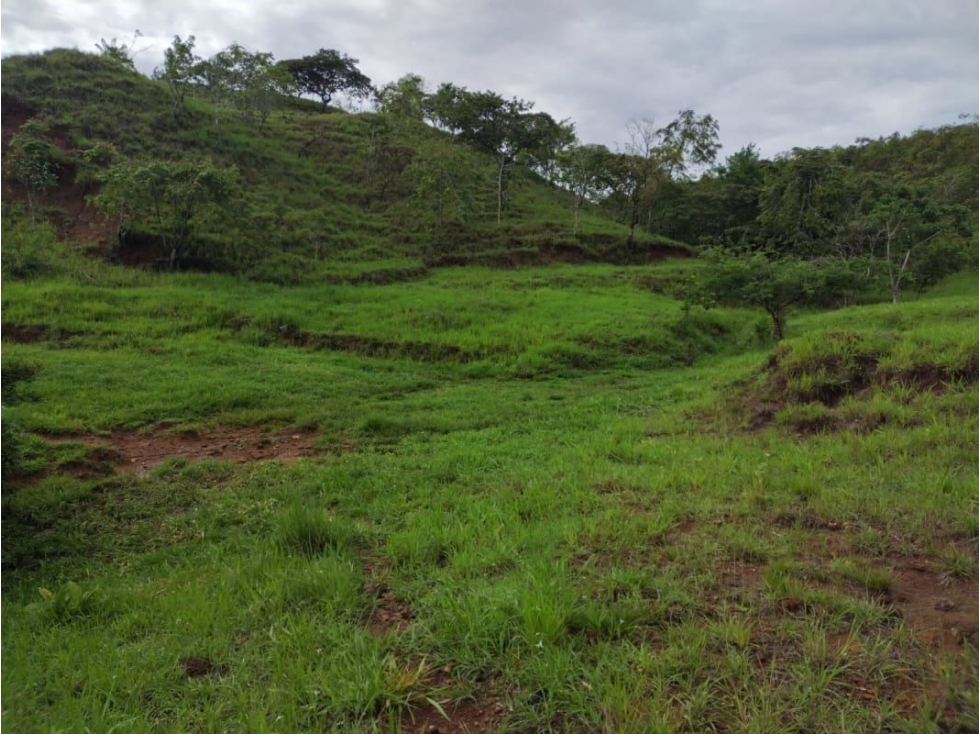 VENTA DE TERRENO EN VERAGUAS PARA GANADERIA - 5