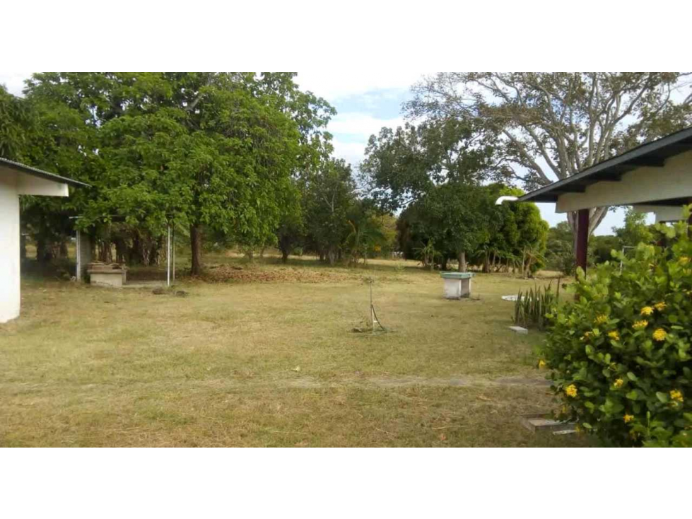 VENTA DE FINCA EN RÍO HATO, ANTÓN ÚNICA OPORTUNIDAD - 6