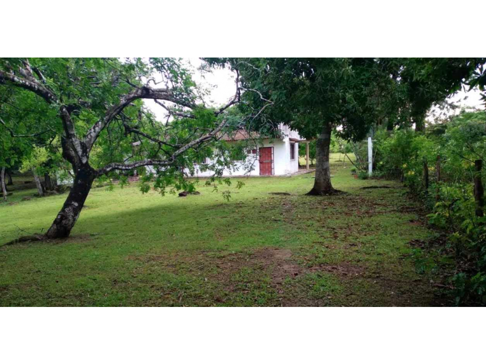 VENTA DE FINCA EN SANTA RITA, HERMOSA Y VISTAS INIGUALABLES, REMATE - 6