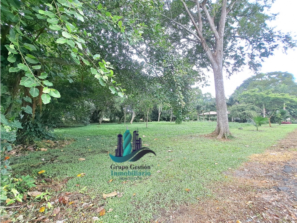 VENTA DE TERRENO DE 9,000 M2 DAVID - 6