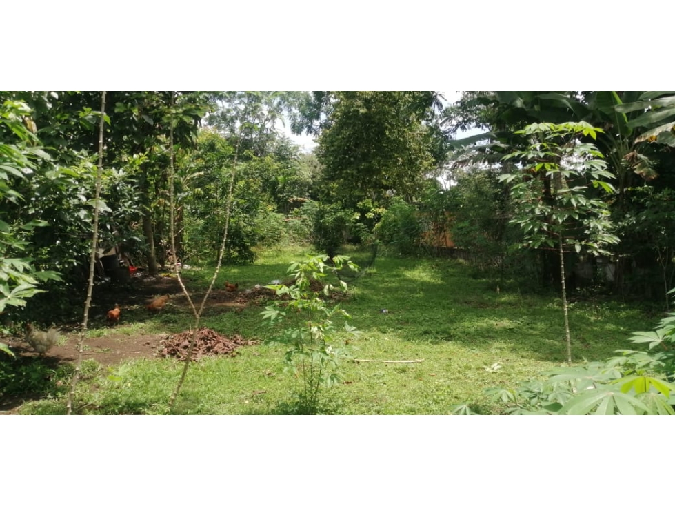 VENDO LOTE EN CHIRIQUI LA MATA DE BUGABA - 1