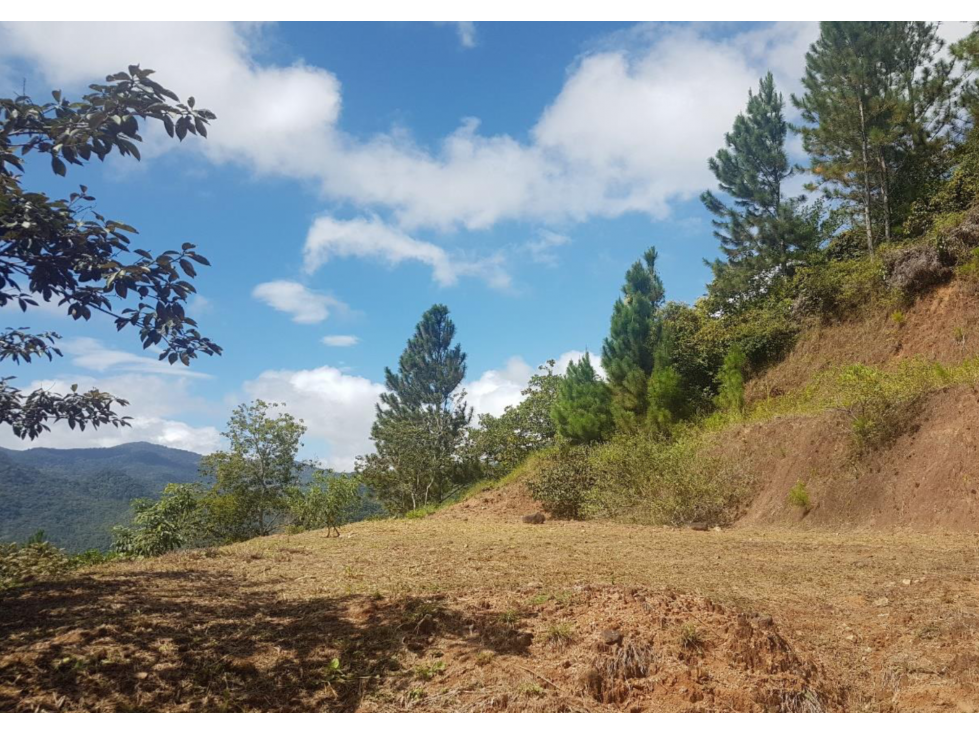 VENTA TERRENO ALTOS DE MARÍA OPORTUNIDAD DE INVERSIÓN PANAMÁ — foto 3