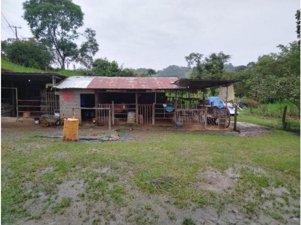 VENTA DE TERRENO EN TONOSÍ ALTOS DEL GUERA - 5