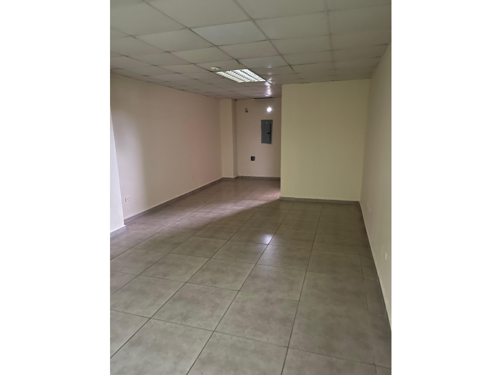 Local Oficina Comercial en David Plaza Coopeve - 6