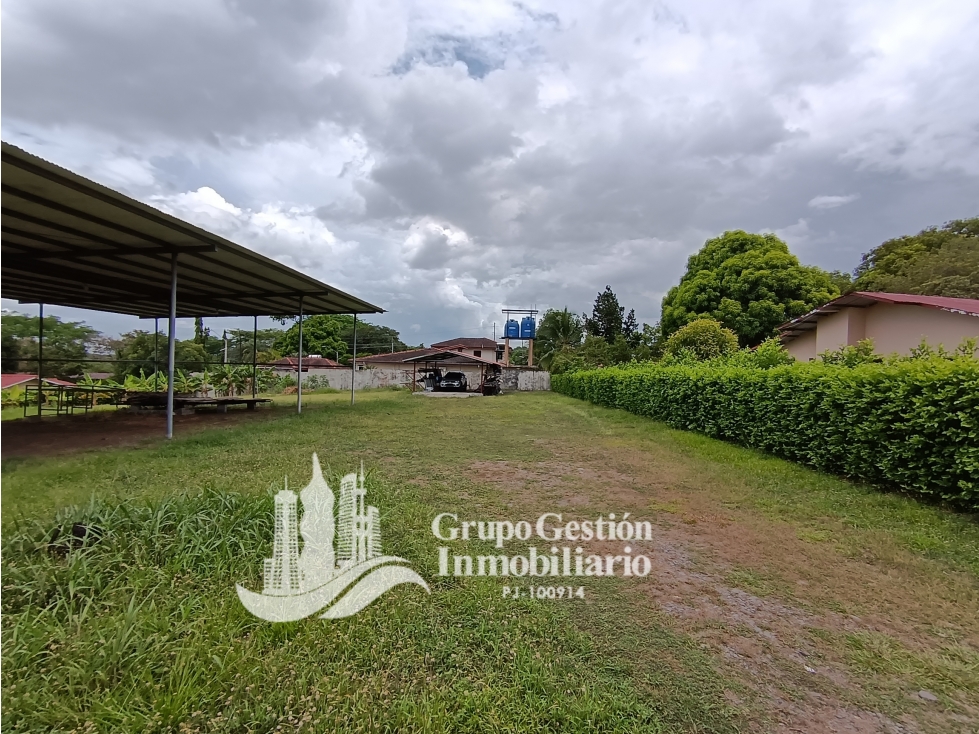 Se alquila Galera en David Chiriqui — foto 6