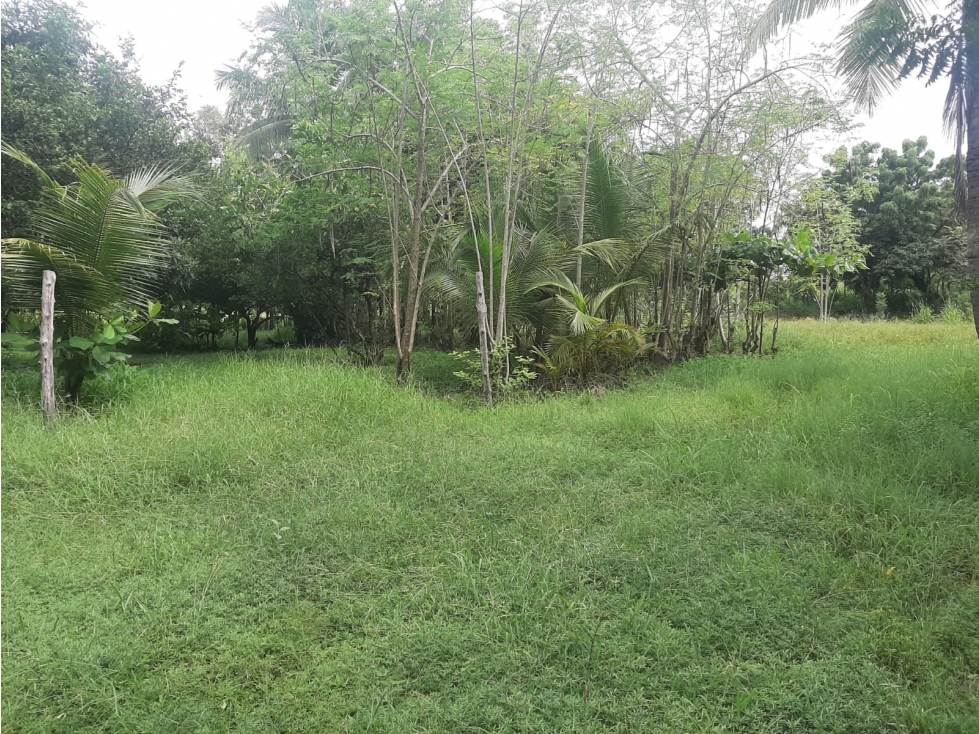 VENTA DE TERRENO EN LA PLAYA EL ROMPIO - 6