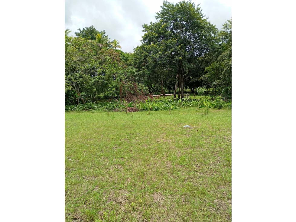 VENTA DE TERRENO EN ANTON 1000 MTS2 - 6