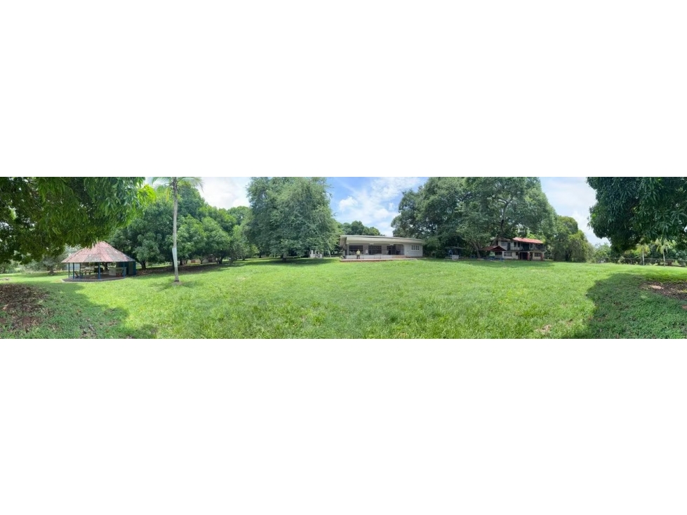 VENTA FINCA NUEVA GORGONA 15816M2 CERCA DE LA PLAYA MLD — foto 2