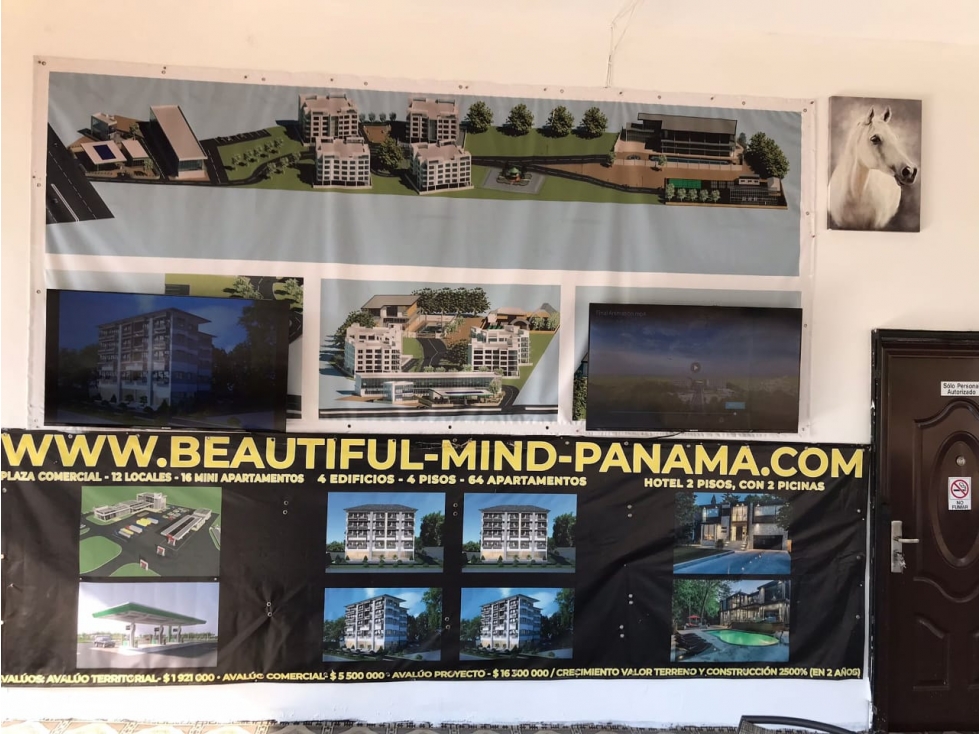 SE VENDE GRAN TERRENO CON SUS MEJORAS CERCA A PLAYA VENADO - 6