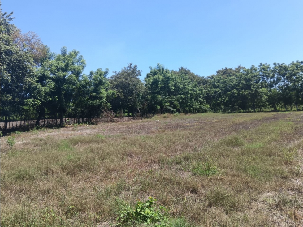 SE VENDE LOTE EN ALANJE, 137,000.00, CHIRIQUI, ZONA CON GRAN POTENCIAL - 6