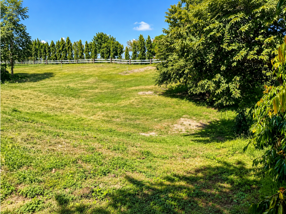 VENTA LOTE CHAME 1,232.22 m² DE TERRENO PLANO CON PISCINA CV - 6
