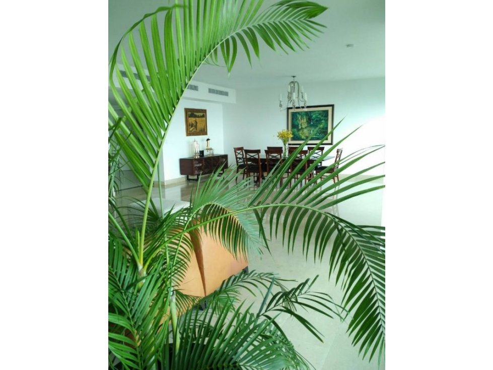APARTAMENTO EN PH ZEUS, COSTA DEL ESTE - 5