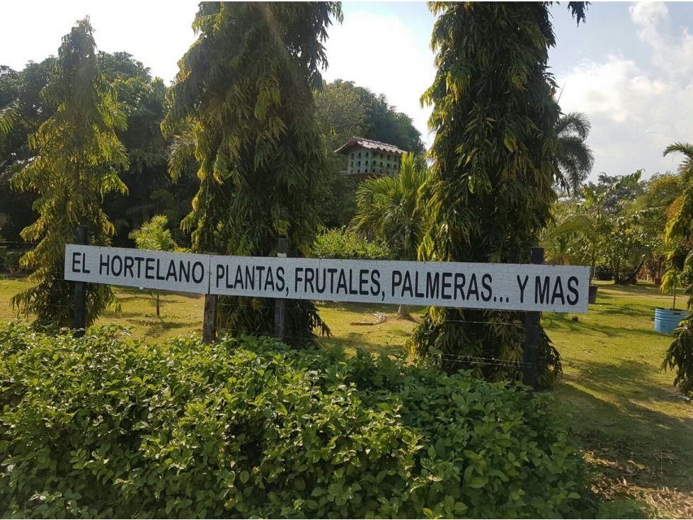 TERRENO COMERCIAL-RESIDENCIAL 4.5 HECTAREAS CARRETERA PANAMERICANA — foto 3