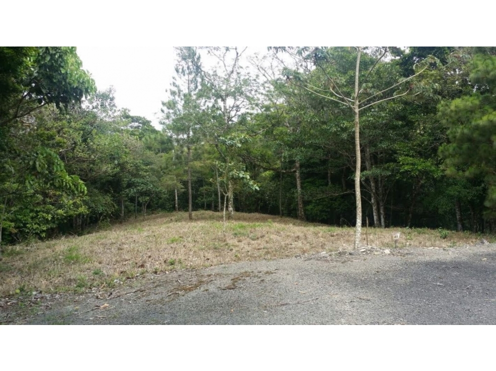 SE VENDE TERRENO EN ALTOS DEL MARIA 1788.14 M2 - 4