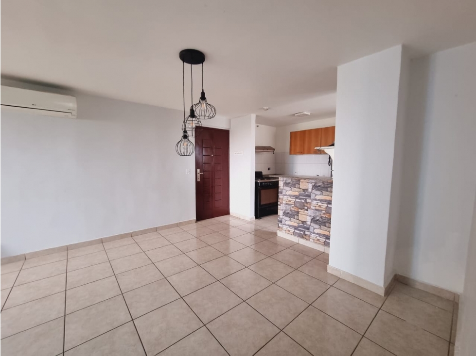 APARTAMENTO 3REC VISTA AL PARQUE OMAR, SUNSHINE BY THE PARK — foto 3