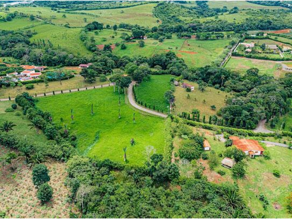 VENTA DE TERRENO EN CHORRERA - PARA PROYECTO CAMPESTRE 5000mts cv - 2