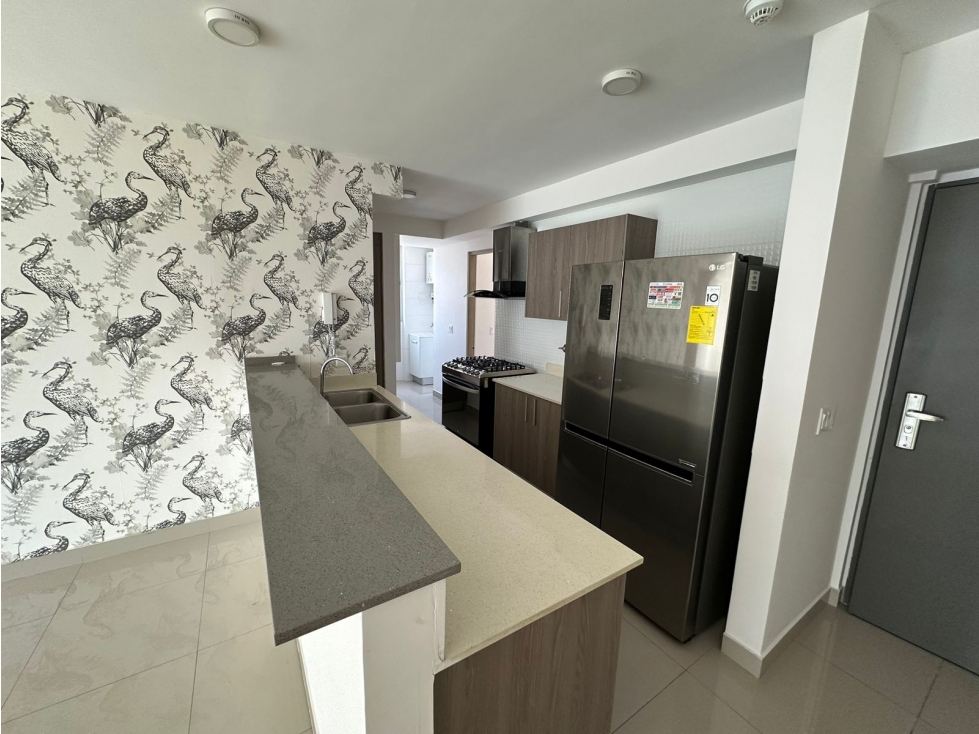 ALQUILER APARTAMENTO EN PH ZAPHIRO — foto 4