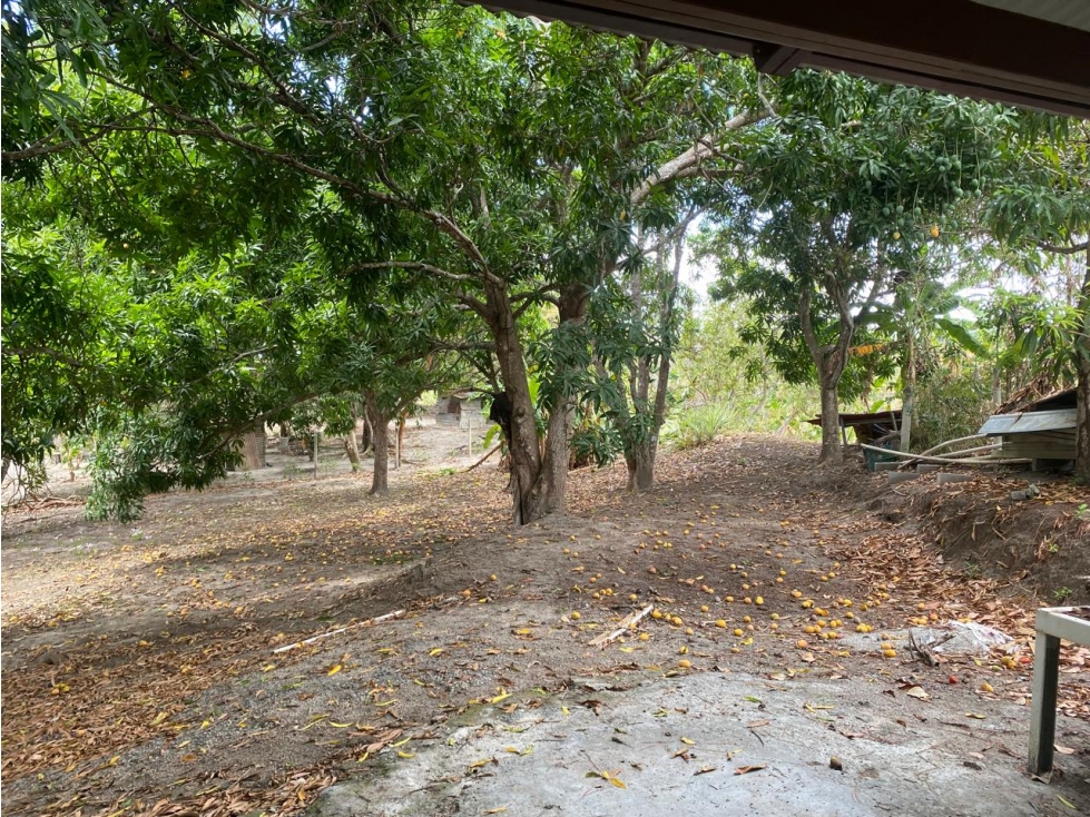 SE VENDE CASA EN LAS GUIAS CON 1,900 MTS - 5
