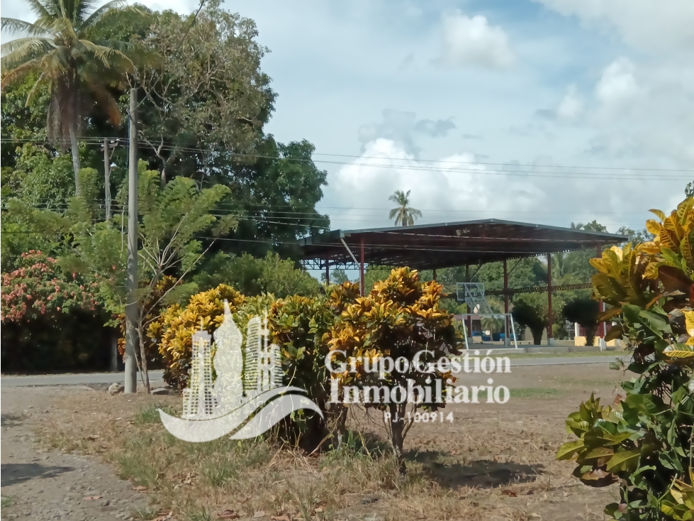 Venta Finca en Querevalo - 5
