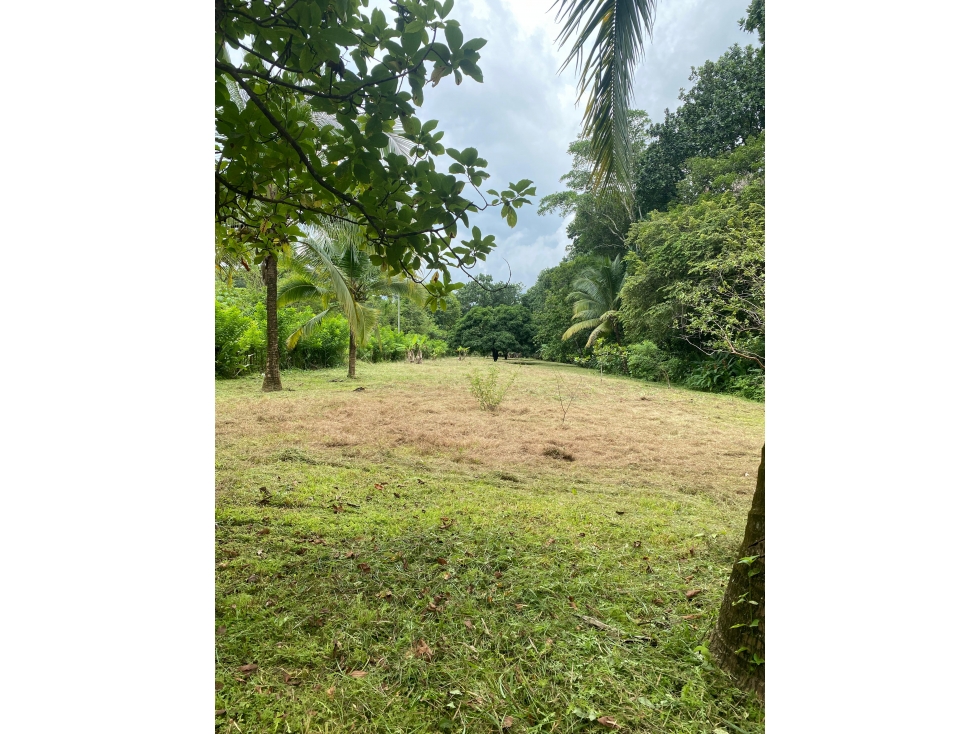 VENTA DE CASA CON TERRENO EN LA MESA DE SAN MARTIN CARRIAZO 4,565 MTS2 - 5