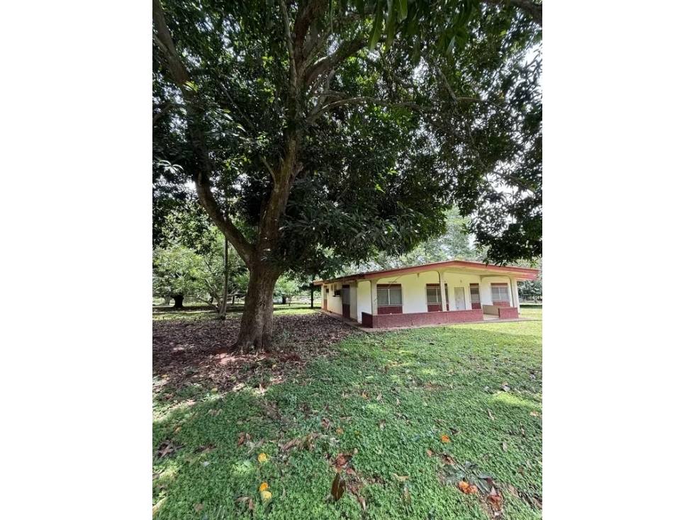 VENTA FINCA NUEVA GORGONA 15816M2 CERCA DE LA PLAYA MLD — foto 3