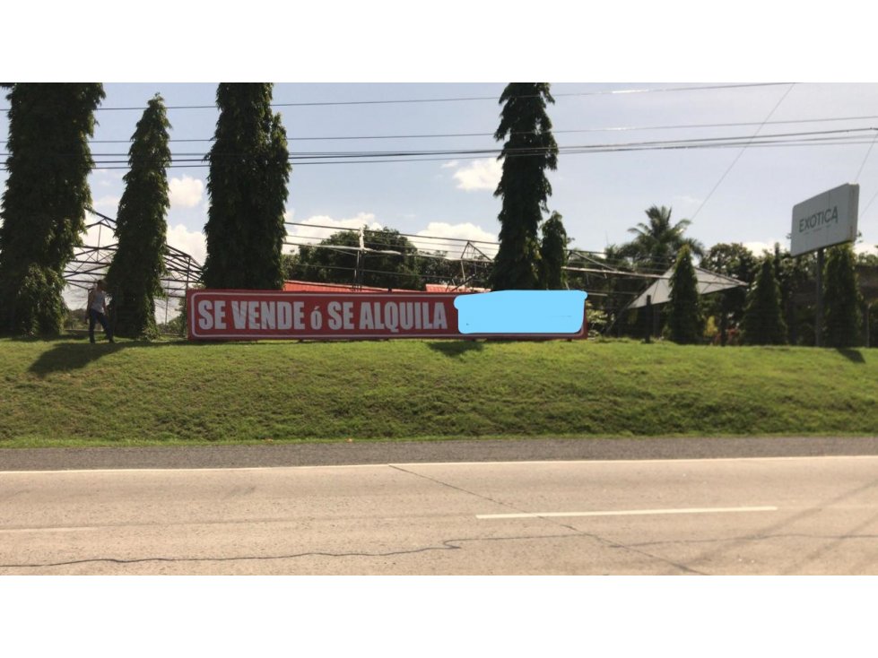 TERRENO COMERCIAL-RESIDENCIAL 4.5 HECTAREAS CARRETERA PANAMERICANA — foto 4