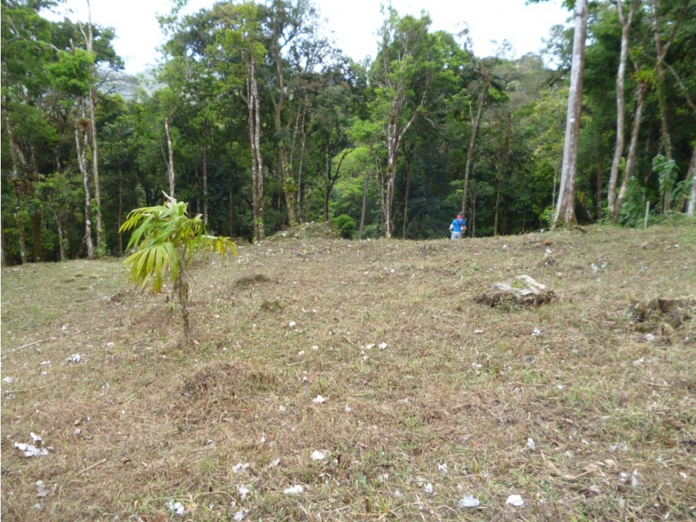 SE VENDE TERRENO EN ALTOS DEL MARIA 1.560 m2 - 3