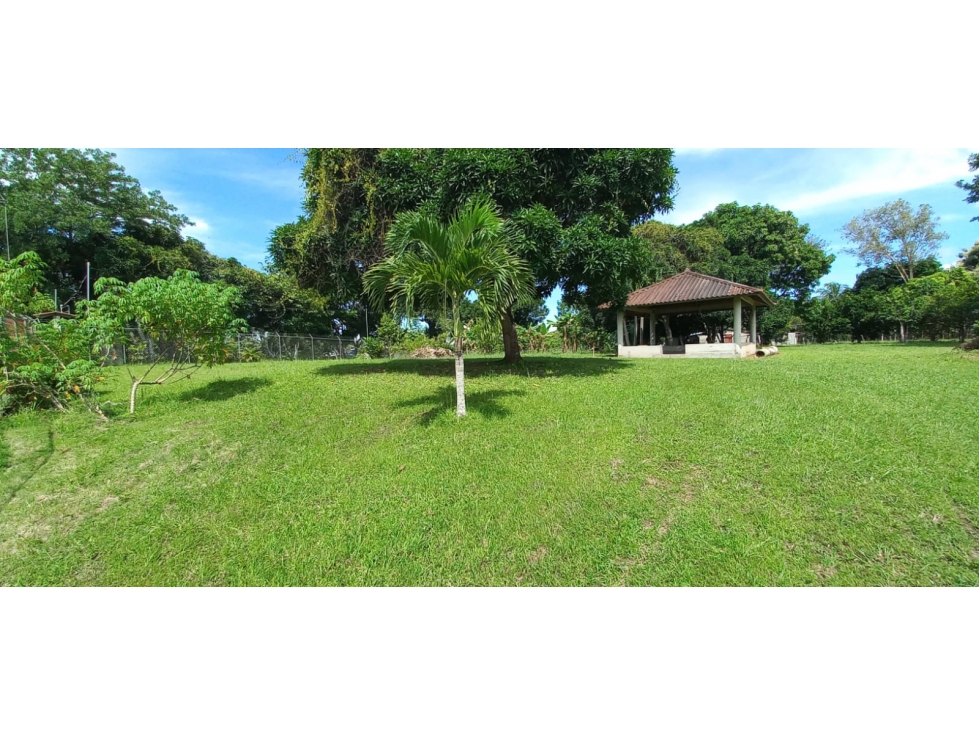 VENTA DE TERRENO CON 6,000 M2 EN COCLE - AGUAS BLANCAS - 3