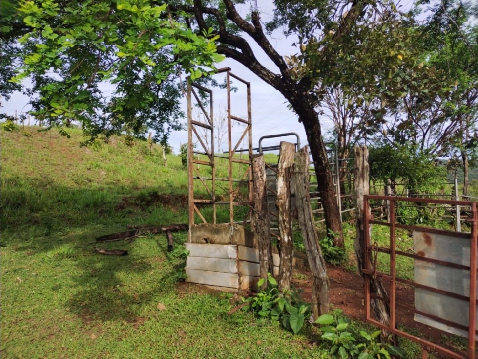VENTA DE TERRENO EN VERAGUAS PARA GANADERIA - 2