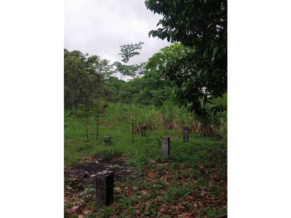VENTA GRAN TERRENO COLÓN 8,700M2 VILLA AQUILINA CV - 6