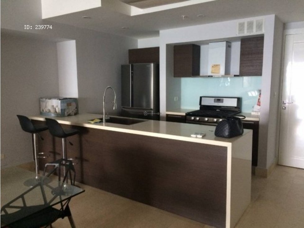 APARTAMENTO AMOBLADO AVENIDA BALBOA PH YOO - 3