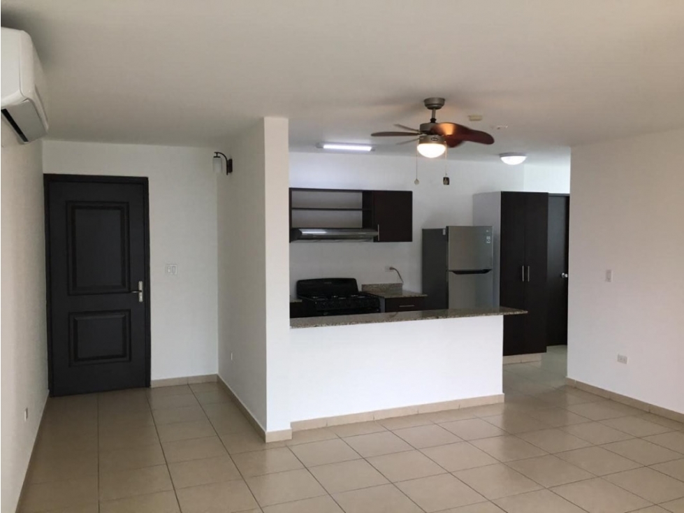 APARTAMENTO REMODELADO EL CANGREJO 2REC PHDALI - 5