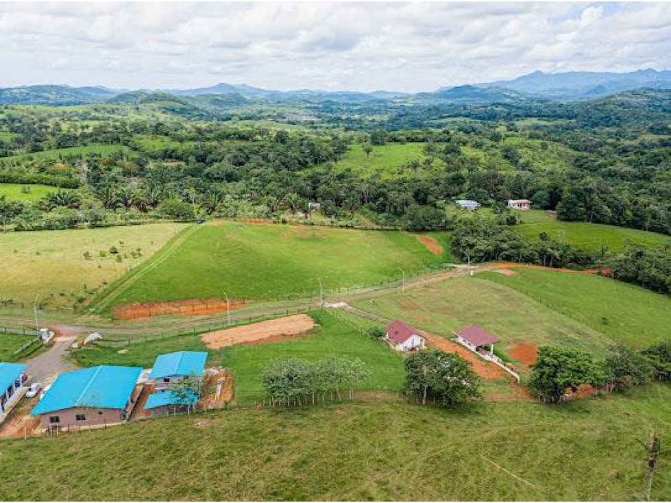 VENTA DE TERRENO EN CHORRERA - PARA PROYECTO CAMPESTRE 5000mts cv - 4