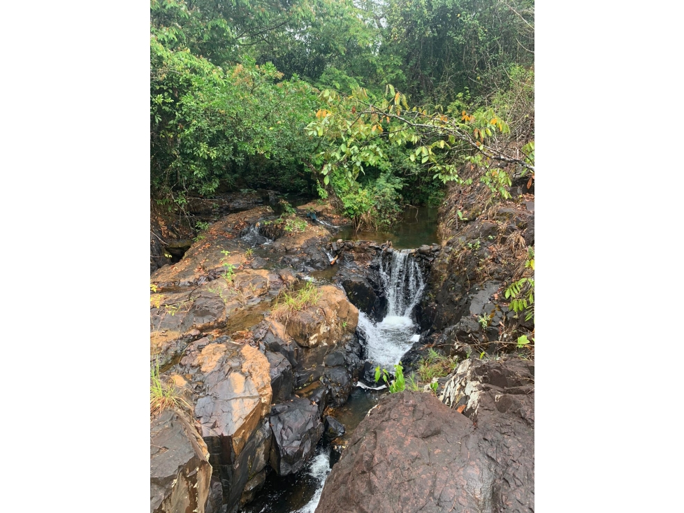 VENTA DE TERRENO DE 60 HECTARIAS EN VERAGUAS - 5