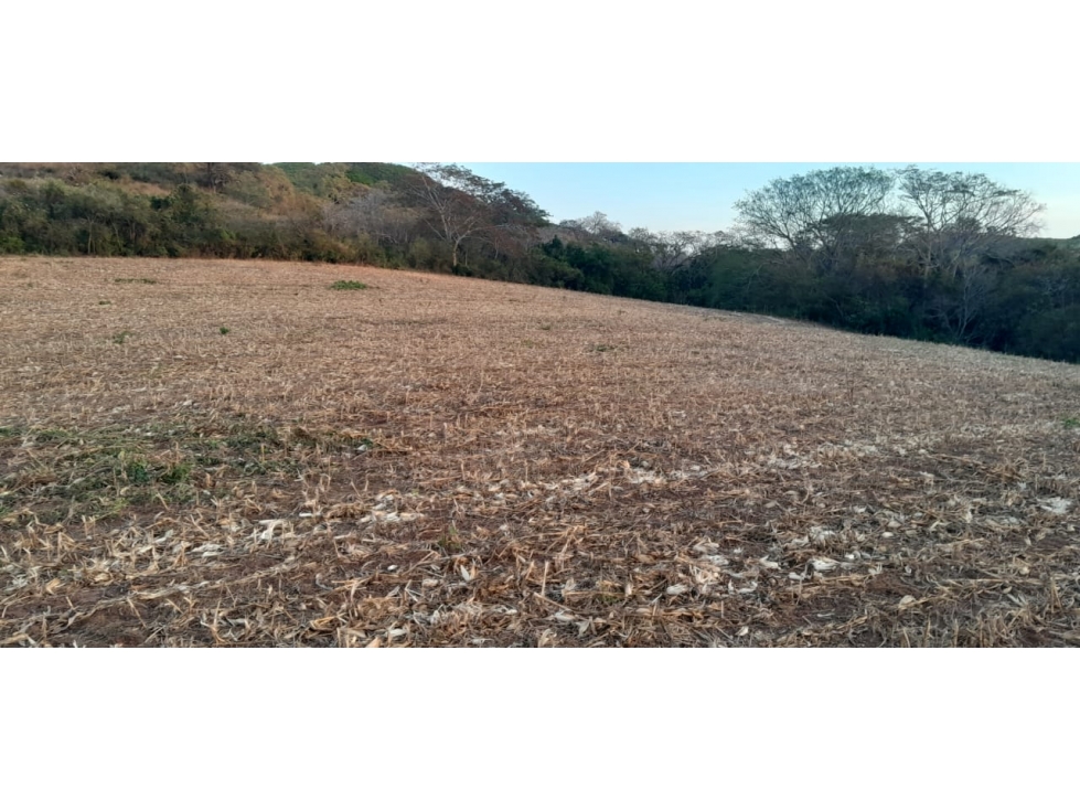 VENTA DE TERRENO EN HERRERA - 19 HEC - 2