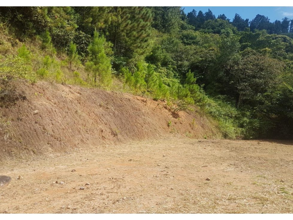 VENTA TERRENO ALTOS DE MARÍA OPORTUNIDAD DE INVERSIÓN PANAMÁ — foto 6