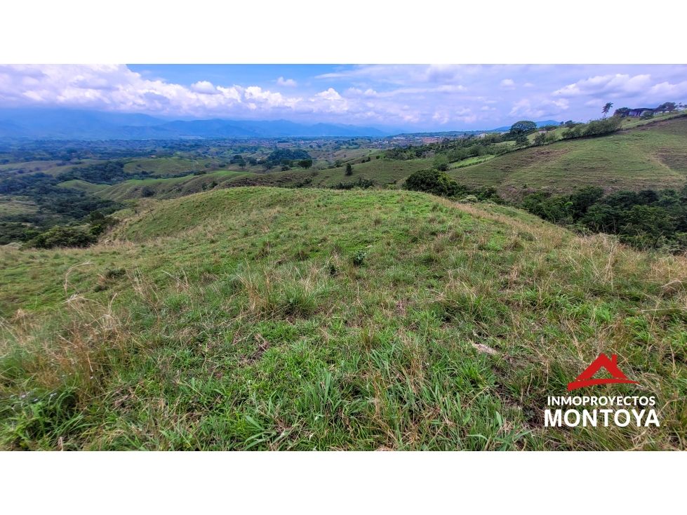 Finca suburbana en Cerritos sobre la vía Pereira-Cartago — foto 5