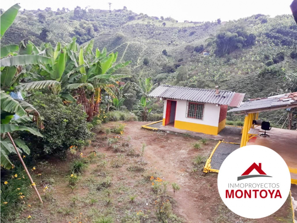 SE VENDE FINCA CAFETERA SECTOR ALTAGRACIA