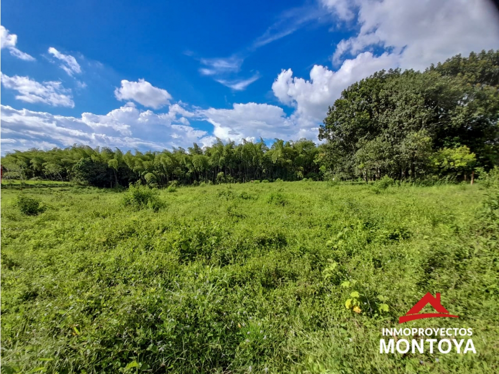 Lote campestre sector de la siria, Pereira — foto 2