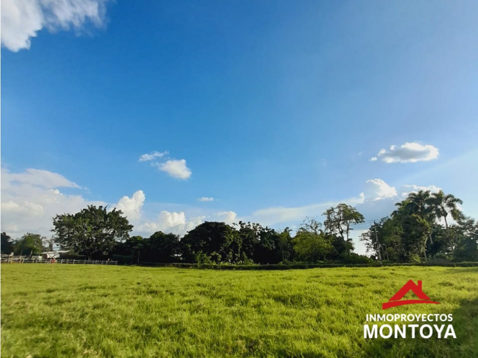 Lotes campestres en parcelación, Cerritos, Pereira — foto 2
