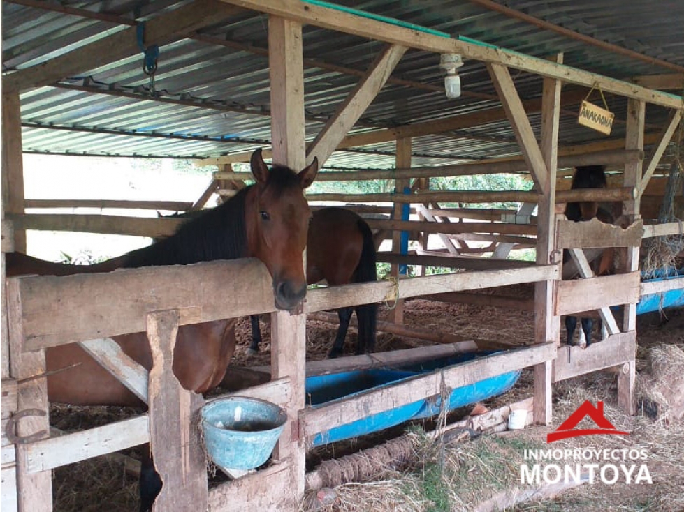 Hermosa casa-finca ecoturística en Combia, Pereira - 5