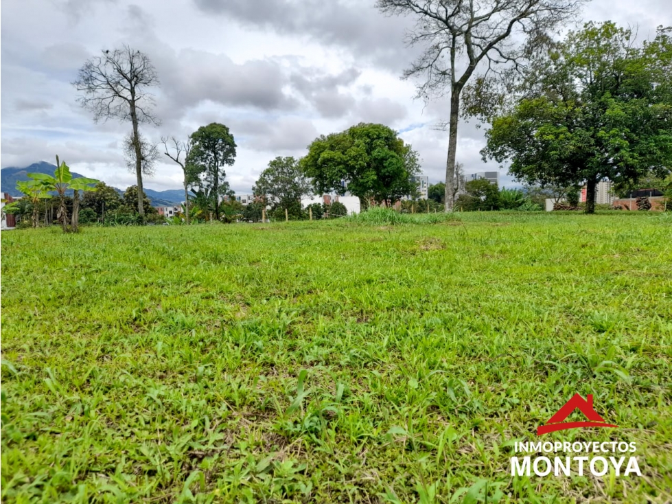 Lotes para casa, sector Nuevo Sol-Codina, Pereira