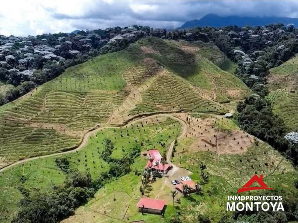 Finca de aguacate Hass, sector El Manzano, Pereira