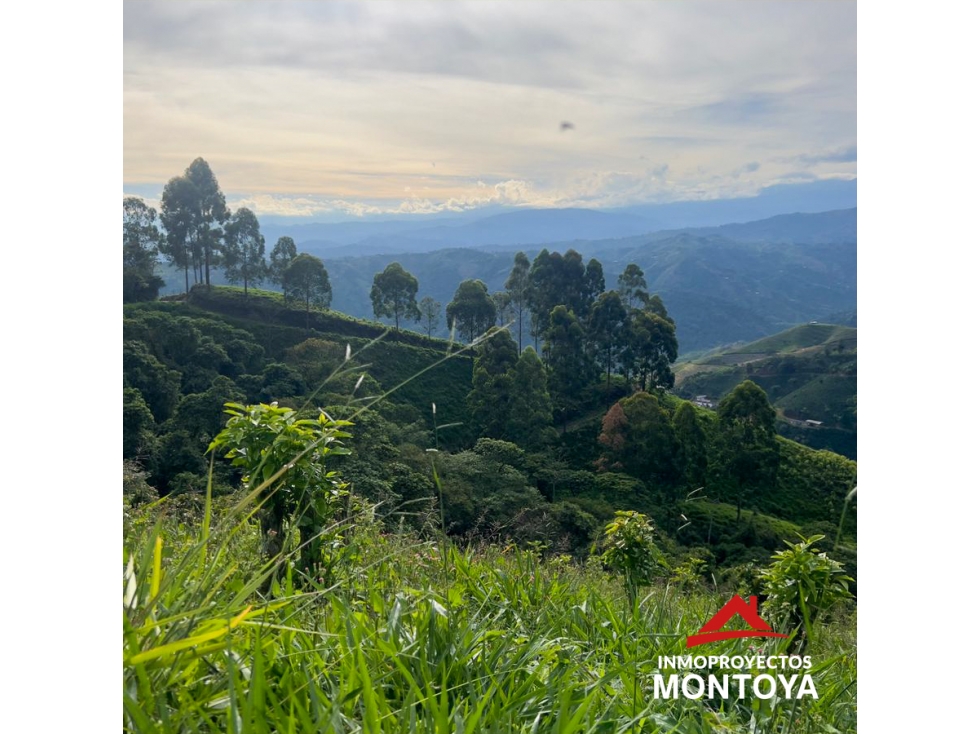 Finca ganadera de 28 cuadras en Marsella