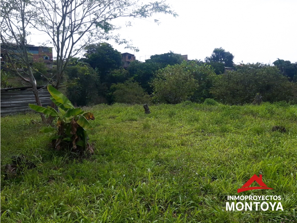 Lote campestre en Combia, sector San Marino, Pereira — foto 2