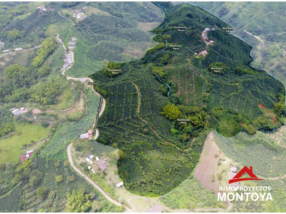 Finca cafetera tecnificada en Santa Rosa de Cabal — foto 2
