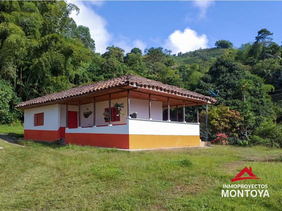 Finca cafetera tecnificada en Combia, Pereira