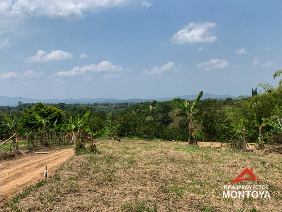 Lote en Altagracia, Pereira