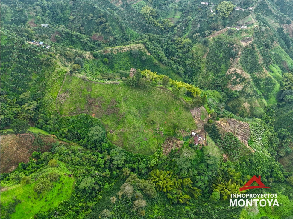 Venta finca productiva en Santa Rosa de Cabal, Risaralda