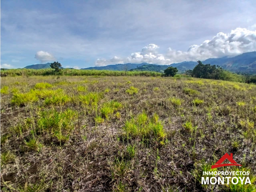 Venta Lote, Combia, Pereira — foto 2